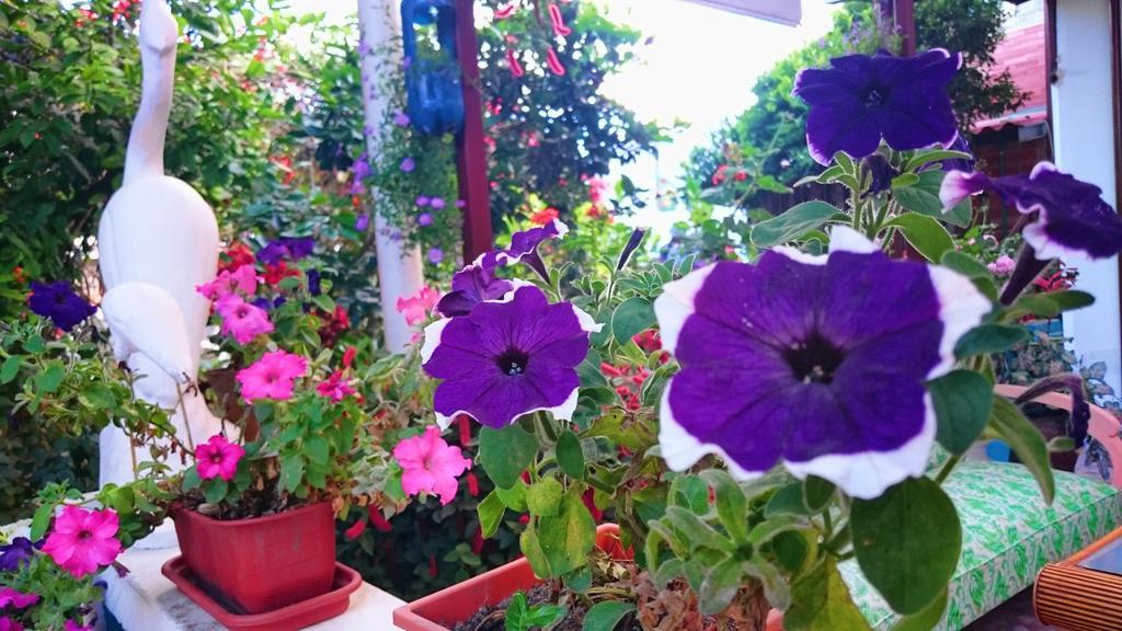 Hostal El Parque Tababela Εξωτερικό φωτογραφία