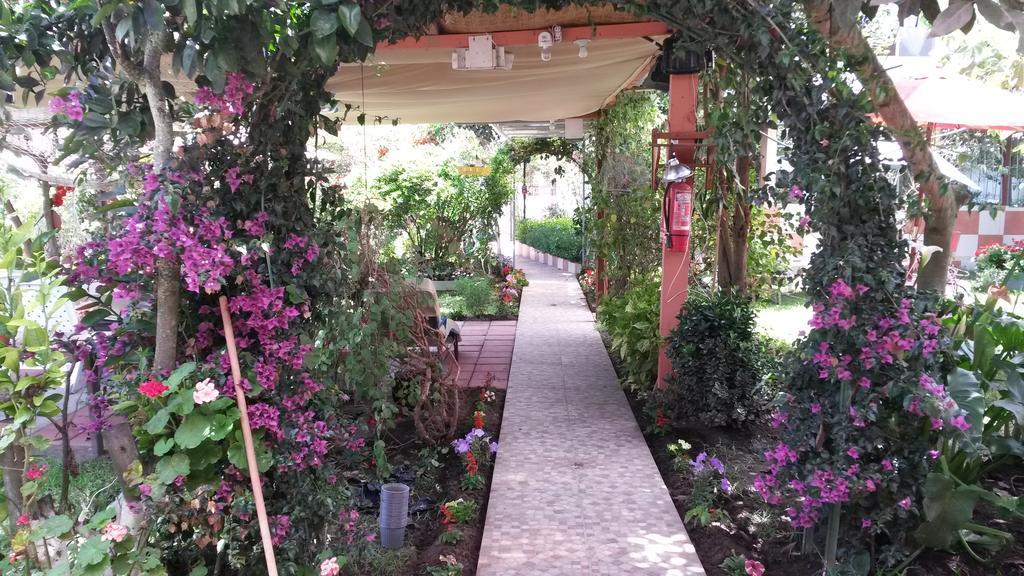 Hostal El Parque Tababela Εξωτερικό φωτογραφία