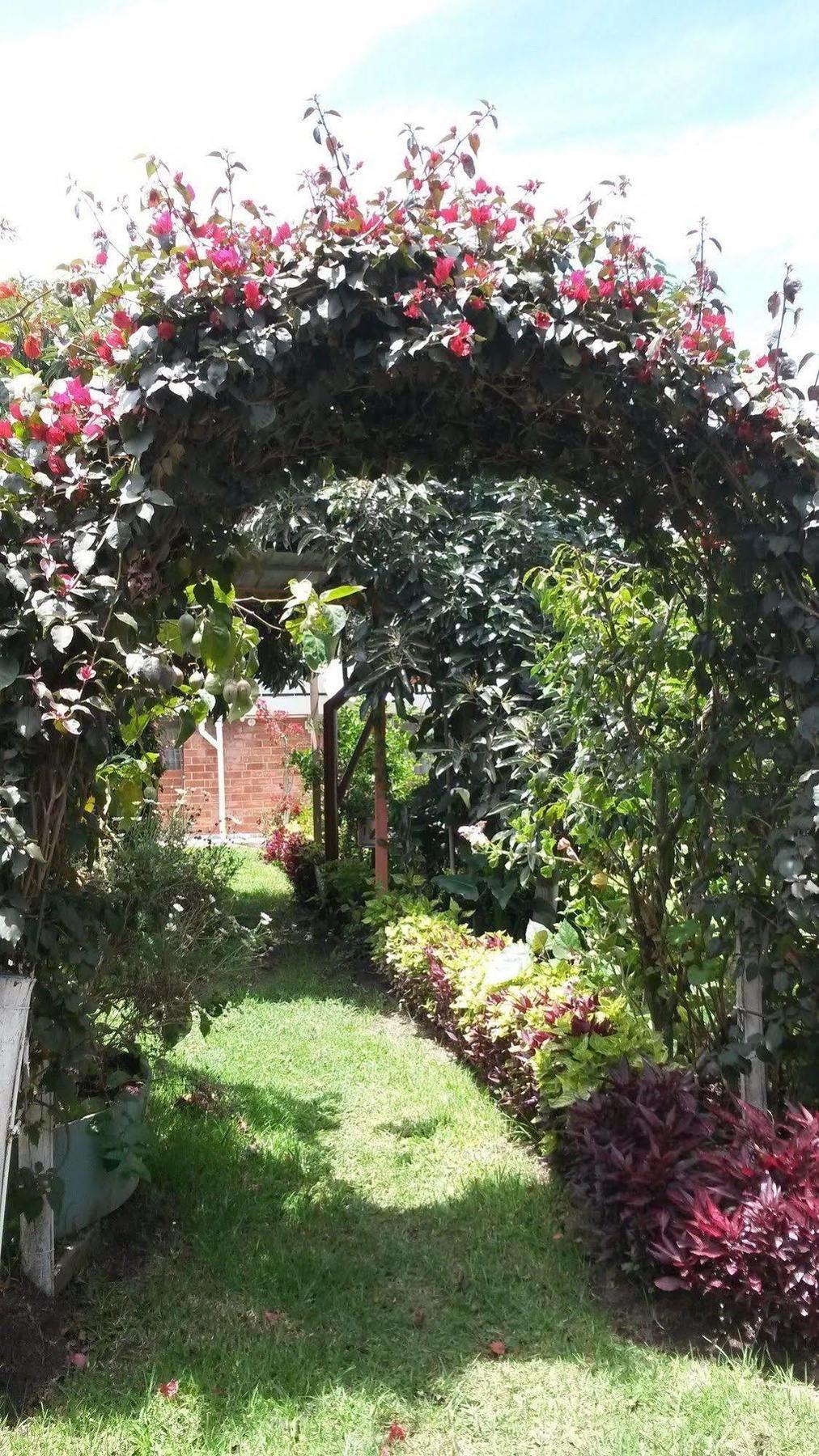 Hostal El Parque Tababela Εξωτερικό φωτογραφία